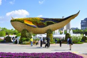 [포토] 꽃들의 향연···‘2024고양국제꽃박람회’를 가다